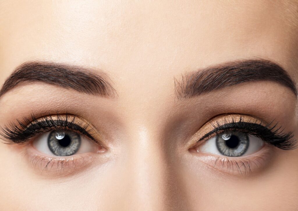 cuánto tarda en crecer el pelo de las cejas