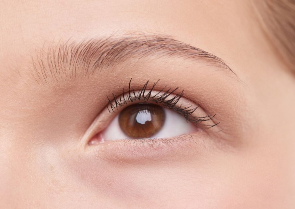 caída de pelo en las cejas