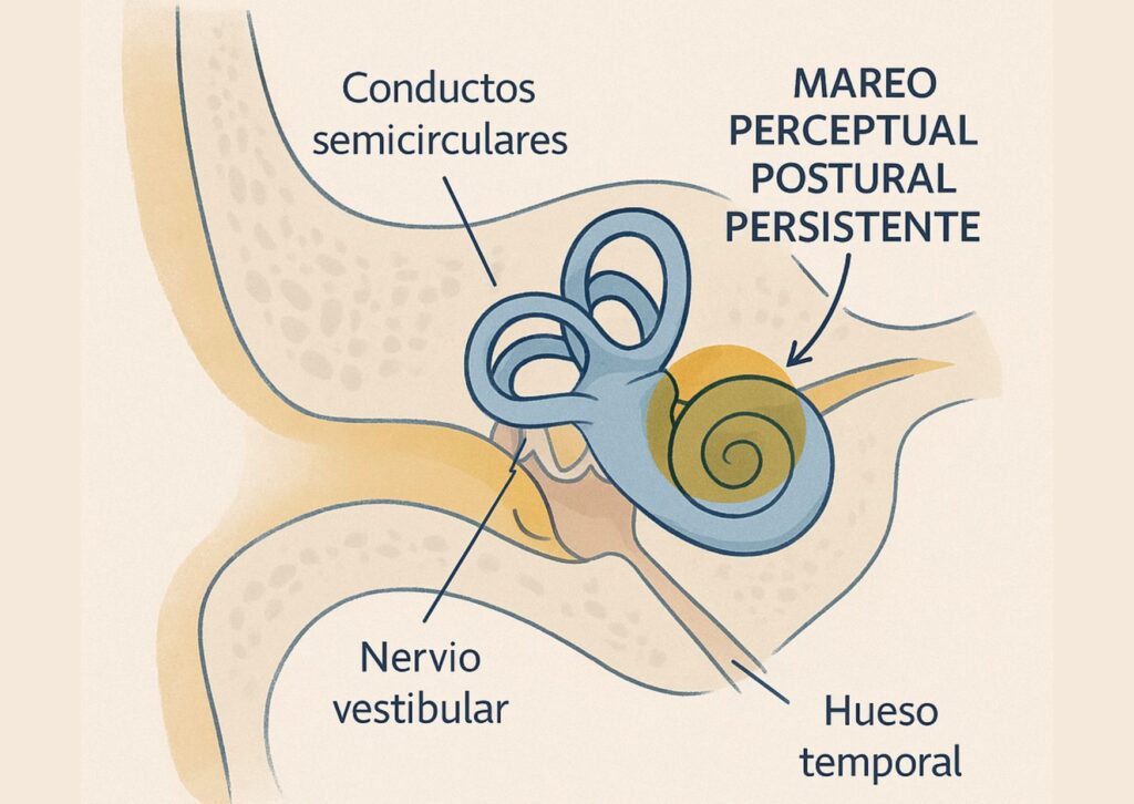 mareo constante